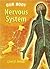 Nervous System (Our Body)