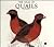 The Atlas of Quails