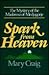 Spark from Heaven: The Myst...