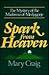 Spark from Heaven by Mary A. Craig