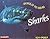 Sharks (Animals of the Oceans)