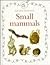 Small Mammals (Nature Detective)