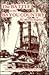 The Battle in the Bayou Country (American Civil War)