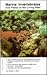 Marine Invertebrates and Plants of the Living Reef
