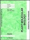 Plant Molecular Biology: Essential Techniques