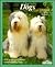 Dogs: How to Take Care of T...