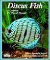 Discus Fish