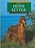 The Irish Setter (Learning About Dogs)