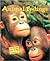 Animal Feelings by Sylvia Funston