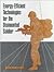 Energy-Efficient Technologies for the Dismounted Soldier