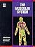 The Muscular System