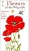 Flowers of the Wayside (Collins Watch Guide)