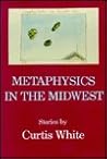 Metaphysics in th...
