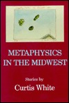 Metaphysics in the Midwest (Paperback)
