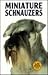 Miniature Schnauzers