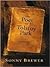 The Poet of Tolstoy Park by Sonny Brewer
