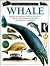 Whale (Eyewitness)