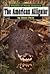 The American Alligator (Wil...