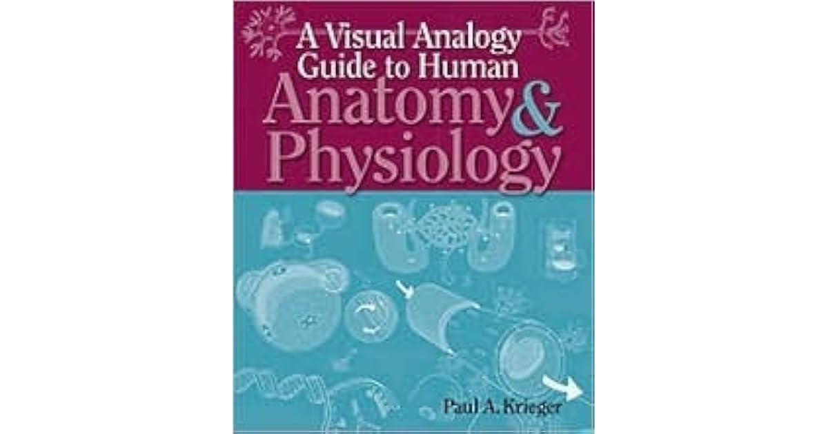 A Visual Analogy Guide To Human Anatomy Physiology By Paul A Krieger A Visual Analogy Guide To Human Anatomy Physiology By Paul A Krieger