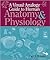 A Visual Analogy Guide to Human Anatomy & Physiology by Paul A. Krieger