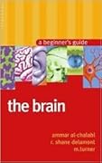 The Brain: A Beginner's Guide