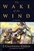 Wake of the Wind