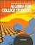 Algebra for College Students by Fred Safier