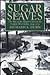 Sugar and Slaves by Richard S. Dunn