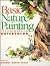 Basic Nature Painting: Techniques in Watercolor (Basic Techniques Series)