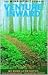 Venture Inward: Edgar Cayce...