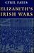 Elizabeth's Irish Wars (Irish Studies)