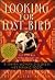 Looking for Lost Bird by Yvette Melanson Looking for Lost Bird by Yvette Melanson