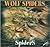 Wolf Spiders (Spiders Discovery)