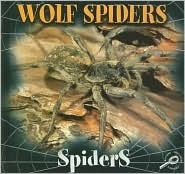 Wolf Spiders (Spiders Discovery)