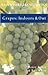 Grapes: Indoors & Out (Rhs ...