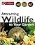 Attracting Wildlife To Your...