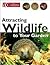 Attracting Wildlife To Your Garden by Michael Chinery