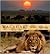 Kalahari: Wild Africa