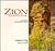 Zion: a visual interpretati...