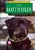 The Rottweiler (Learning About Dogs)