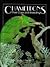 Chameleons: Their Care and Breeding