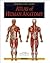 Atlas of Human Anatomy