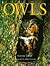 Owls by Connie Toops