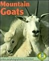 Mountain Goats (Early Bird Nature Books) Mountain Goats (Early Bird Nature Books)