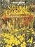 Natural Gardens (Black & Decker Outdoor Home)
