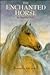 The Enchanted Horse