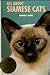 All About Siamese Cats