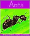 Ants