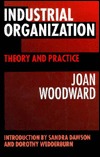 Industrial Organization: Theory and Practice