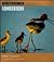 Sch-World of the Shorebirds